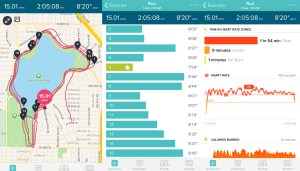 Fitbit Report